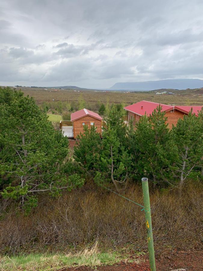 Cosy Cottage-Golden Circle Kerhraun エクステリア 写真